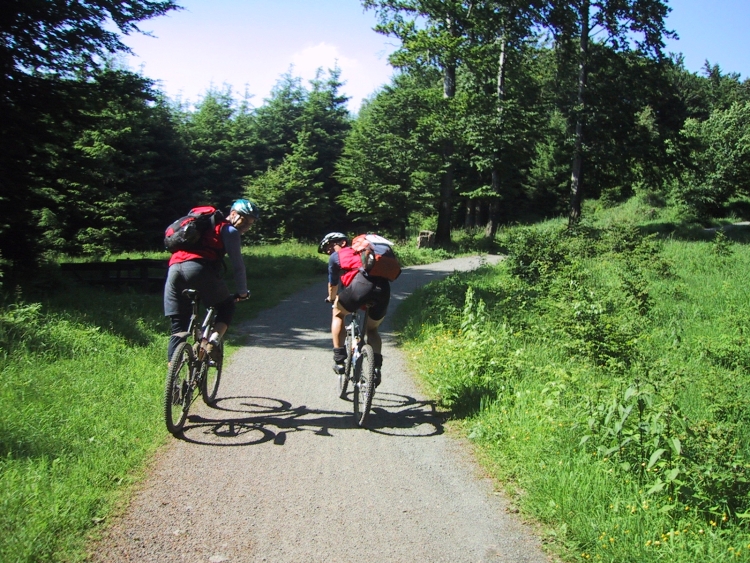 fahrradfahrer_gross.jpg