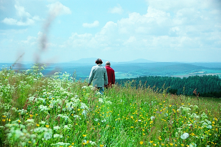 sommerwiese_gross.jpg