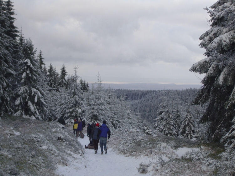 winterwald_gross.jpg